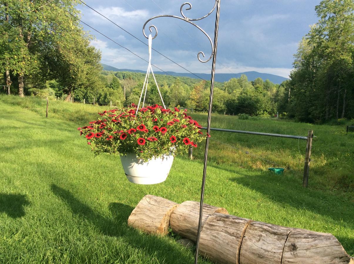 Firefly Bed & Breakfast Lincoln Zewnętrze zdjęcie