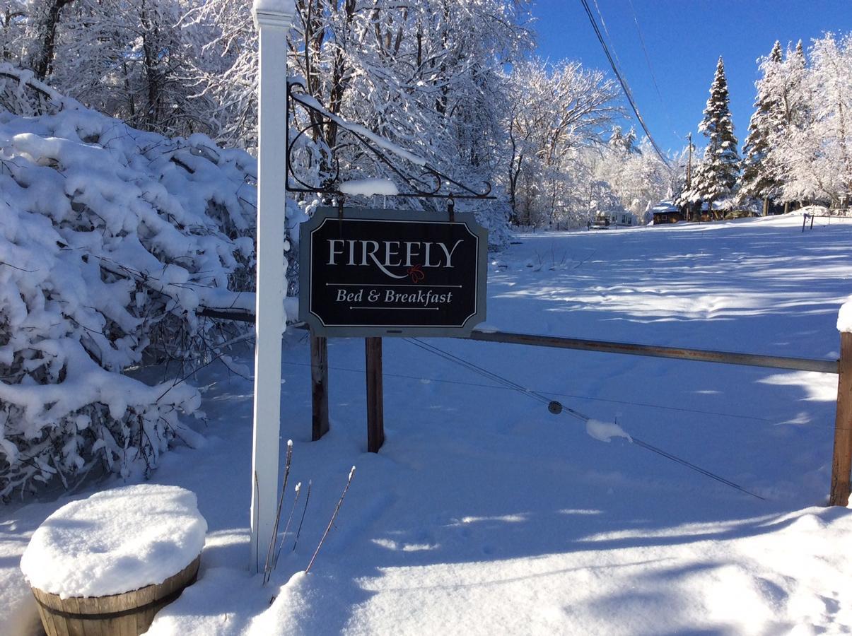 Firefly Bed & Breakfast Lincoln Zewnętrze zdjęcie