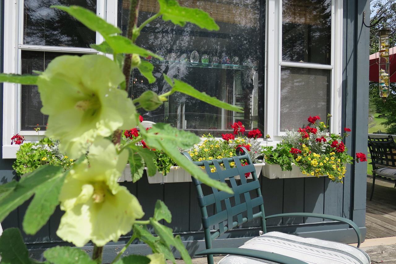 Firefly Bed & Breakfast Lincoln Zewnętrze zdjęcie