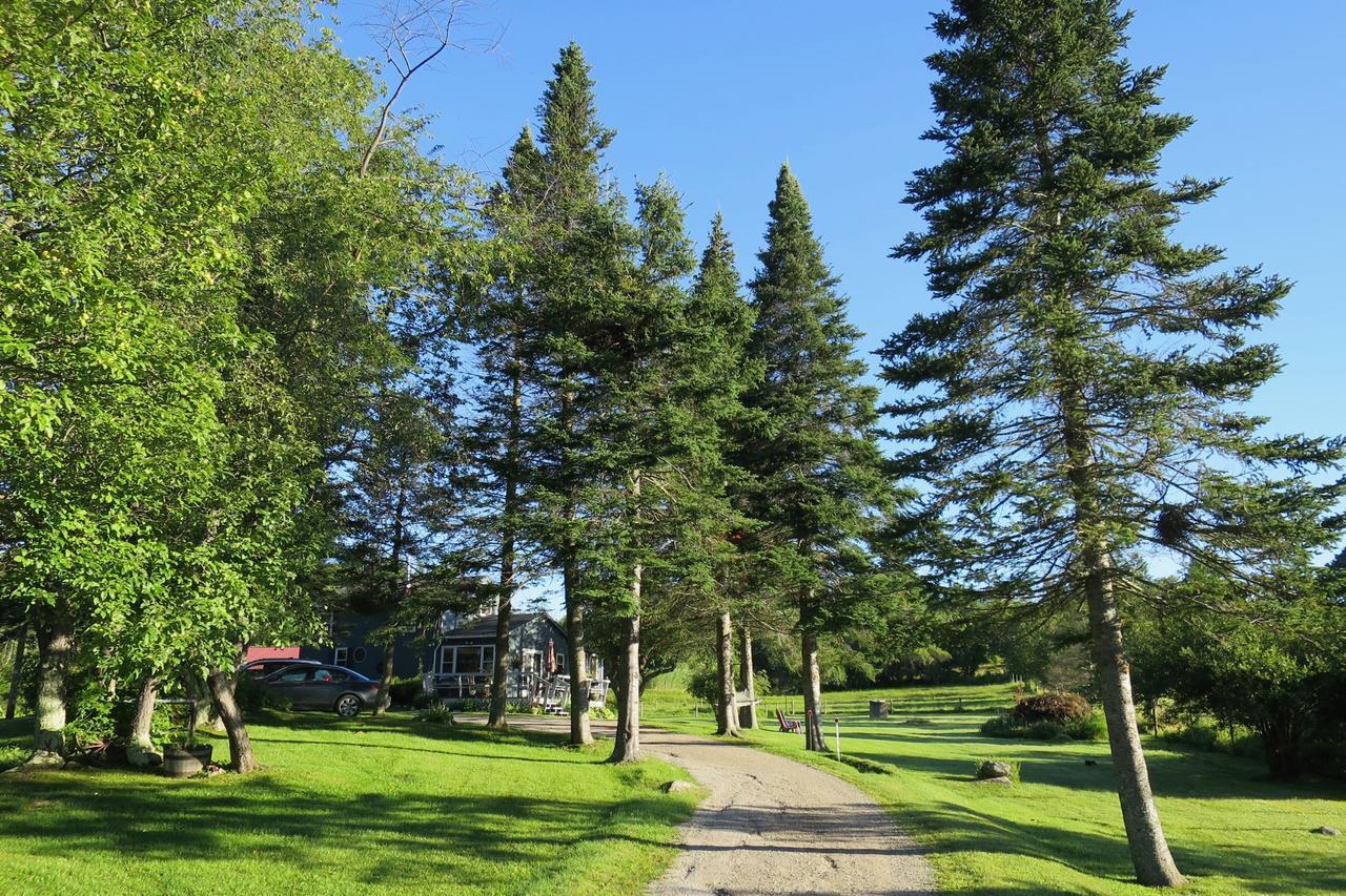 Firefly Bed & Breakfast Lincoln Zewnętrze zdjęcie