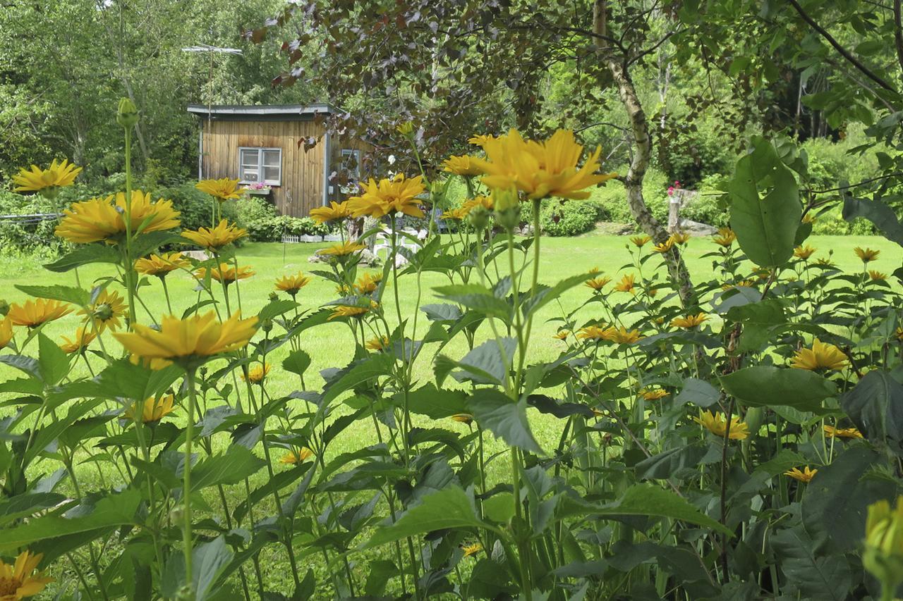 Firefly Bed & Breakfast Lincoln Zewnętrze zdjęcie